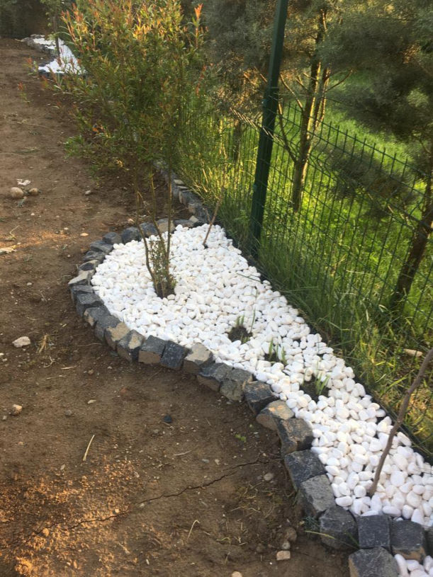 Podima Taşı